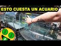 Cuanto cuesta armar acuario en mercado de lose peces de la Morelos