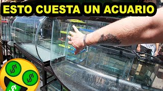 Cuanto cuesta armar acuario en mercado de lose peces de la Morelos