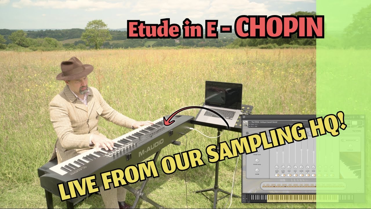 THE STEIN - Antique Concert Grand – Insanity Samples