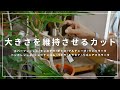 【種類別】どの植物も同じ！大きさを戻す・維持させるためのカットの実践【切り戻し | 株分けも】