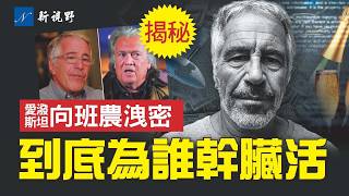 生前接受班農採訪，愛潑斯坦無意間透露秘密：他究竟為誰工作？靠山是誰？錢從哪裡來？#愛潑斯坦 #班農 #洛克菲勒 | 新視野 第2187期 20260213