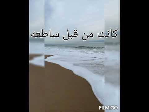 الحب وأشياء أخرى