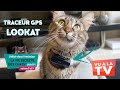 Localiz  collier gps lookat  astuce  comment retrouver facilement son chat 