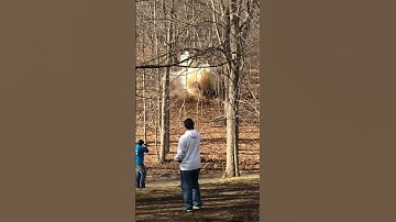 TANNERITE EXPLOSION!!! #explosion #tannerites #shorts