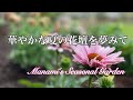 《華やかな夏の花壇を夢見て》＊花壇のメンテナンス＊オンラインショップで購入した苗の植付け＊ガーデニング