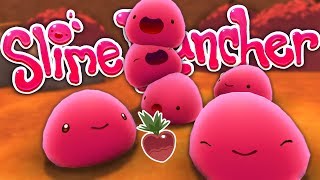 Slime Rancher Heart Beet location Wealth