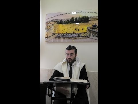 כלל א' חלק ב' | לשון הרע דרך כתיבה - הפצת סרטונים וכתבות