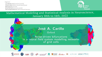 Noise-driven bifurcations in a neural field system modelling networks of grid cells