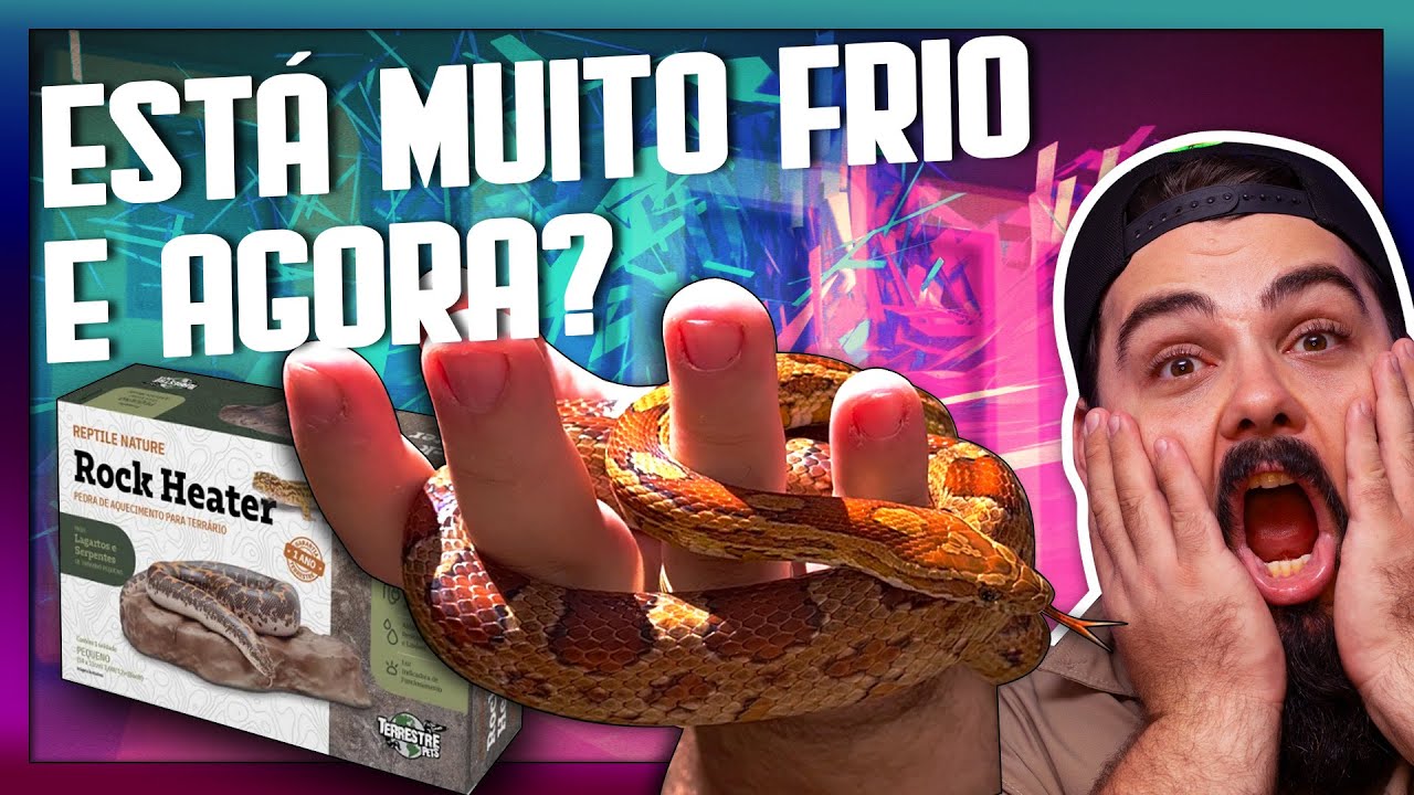 Como aquecer o terrário da sua CORN SNAKE, MILK SNAKE E KING SNAKE - Aquecimento para cobra.