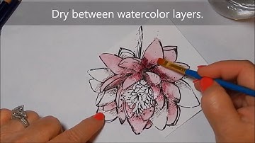 Unity Stamp Co Quick Tip Dimension and Watercolor Pencils