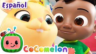 CoComelon en Español | La mascota de la clase | Canciones Infantiles y de Cuna