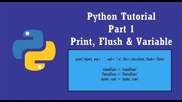 Python Tutorial - Part 1 (Print, Flush & Variable) | Indonesia