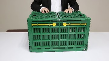 Plastic Foldable Crate Pls email to export@bidifu.com
