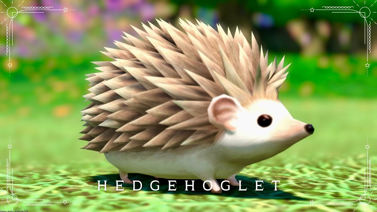 maxresdefault.jpg