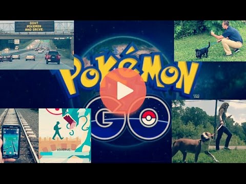 فيديو: يستخدم Rescue Shelter Pokémon GO لتعزيز التمرين والتبني للكلاب