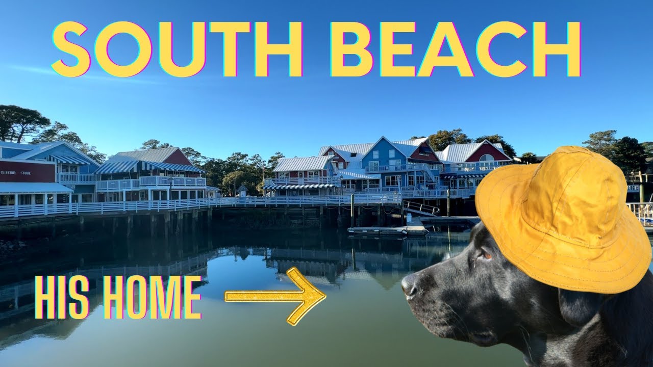 SOUTH BEACH MARINA Home of the Salty Dog Cafe, Tower Beach, and