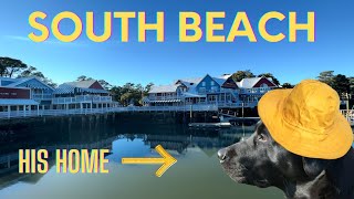 SOUTH BEACH MARINA - Home of the Salty Dog Cafe, Tower  Beach, and magnificent ocean views!!