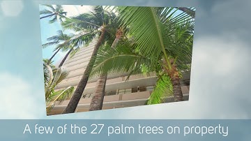 The Tradewinds A1201