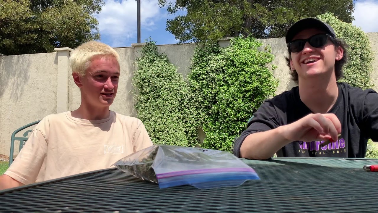 BERRY TERPS KING PALM REVIEW! ft. A VERY Special Guest