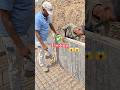 building ka footing kaise kiya jata hai carpenter shuttering Wark #construction #viral #shorts