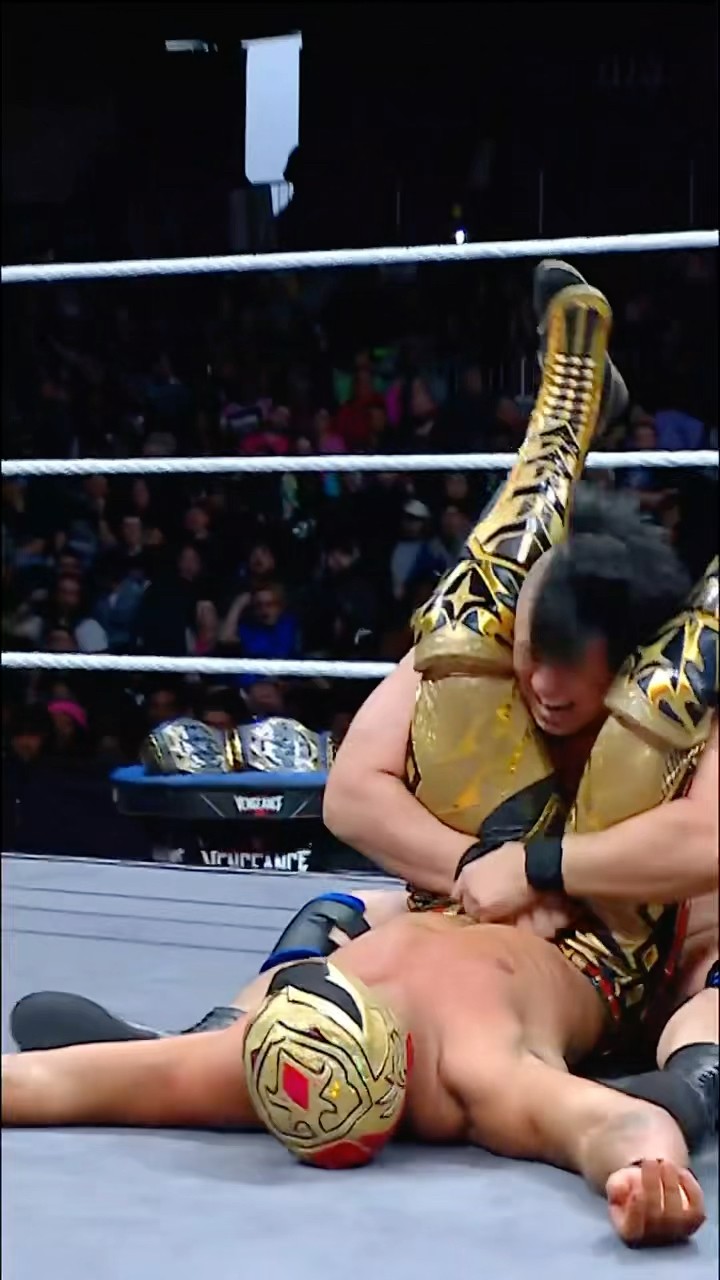 Briggs and Inamura were that close ? #VengeanceDay
