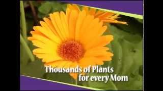 DanSchantz MothersDay 2014