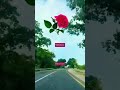 YA ALLAH يا الله YA ALLAH يا الله