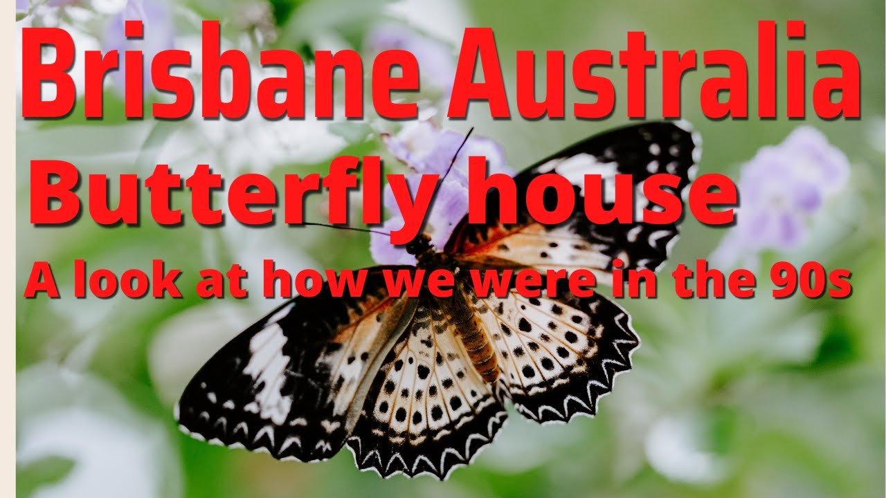 1990s BRISBANE AUSTRALIA SOUTH BANK BUTTERFLY HOUSE YouTube