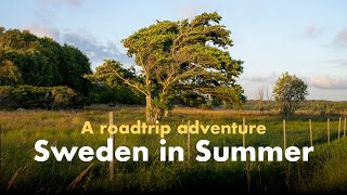 A Roadtrip Adventure in Sweden (Leica M-D, Mamiya RZ67)