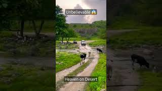 ?Its miracle destination in desert shorts youtubeshorts viral  salalah