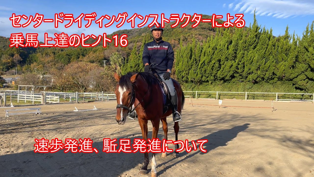 センタードライディングインストラクターによる乗馬上達のヒント16