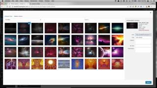 Avada Theme Options: Header