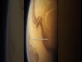 On Venus A Single Day Is LONGER Than Its Entire Year