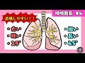 呼吸器の構造②(気管支)と誤嚥性肺炎【第27回】
