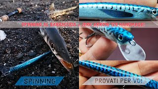 SPINNING al BARRACUDA con JERK artigianale ARROW 120 by RIVER QUEEN - provati per voi - clipangler