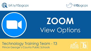 PGCPS ZOOM | View Options