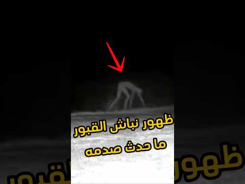 ظهور نباش القبور داخل المقابر ما حدث صدمه 
