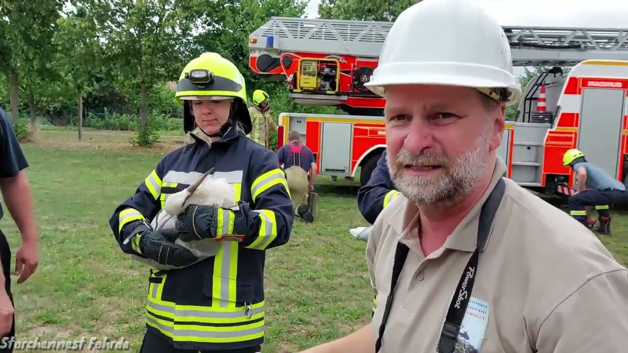 Rettung der Jungstörche 2023!