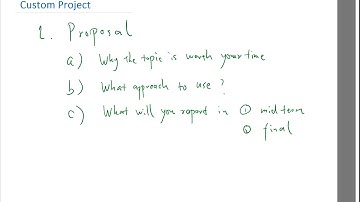 About the Custom Project