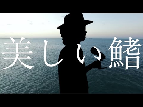 『美しい鰭/スピッツ』を歌ってみた【Kanji Hakase】