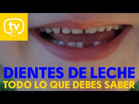 Video: Cuando Se Caen Los Primeros Dientes