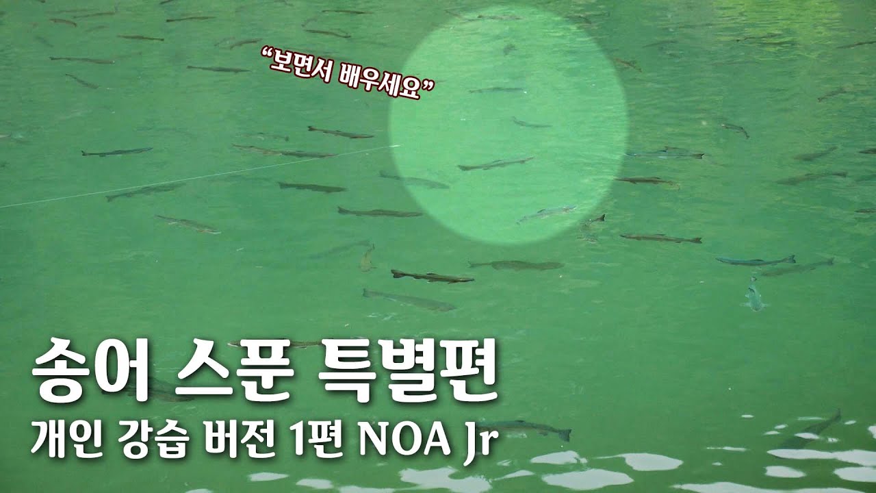 송어 스푼 낚시는 지금이 진짜 시즌! 맑은 물에서 사이트 피싱으로 일대일 강습 [김민규 스텝,TROUT FISHING] EP.04-01