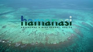 Belize Diving & Snorkeling Vacations | Reef Adventures at Hamanasi Resort