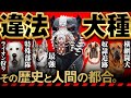 ⚠️世界で飼育禁止・違法の危険犬種7選 -その歴史と人間の都合-