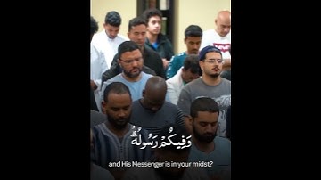 سورة آل عمران من التراويح للشيخ أحمد الحداد