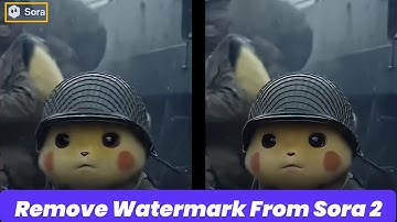 How to Remove Sora 2 Watermark from Video？