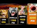 Animal Bite Force From Weak to Crushing Power | Bite Force Comparison