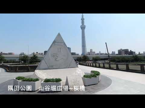 隅田公園 山谷堀広場 桜橋 Youtube