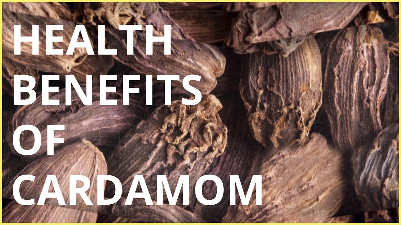 Four cardamom health benefits and its uses  24 Mantra Organic