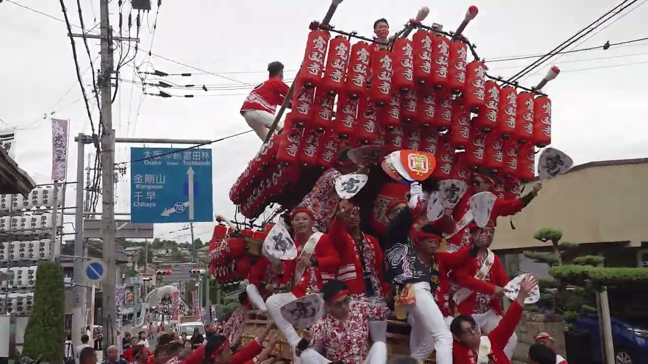 【HD高画質】寛弘寺 だんじり 森屋の坂 南河内だんじり祭 建水分神社 令和6年 2024年‎10月‎19日